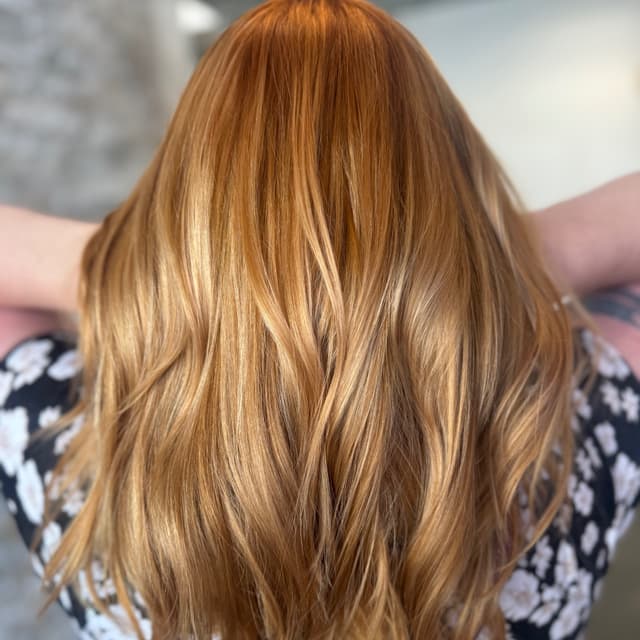 Spring Color Revival Package🌼🍃 at LivForTheHair in Brandon, FL